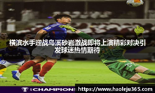 横滨水手迎战鸟溪砂岩激战即将上演精彩对决引发球迷热情期待