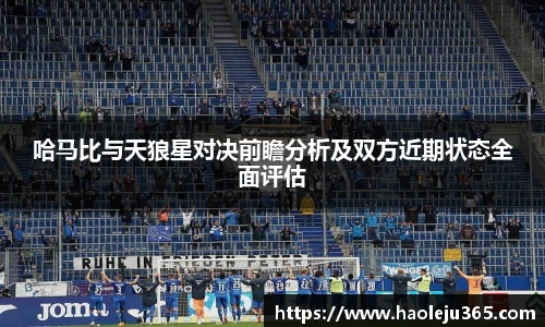 哈马比与天狼星对决前瞻分析及双方近期状态全面评估