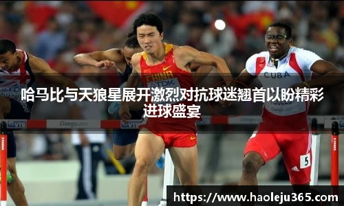 XCSport平台